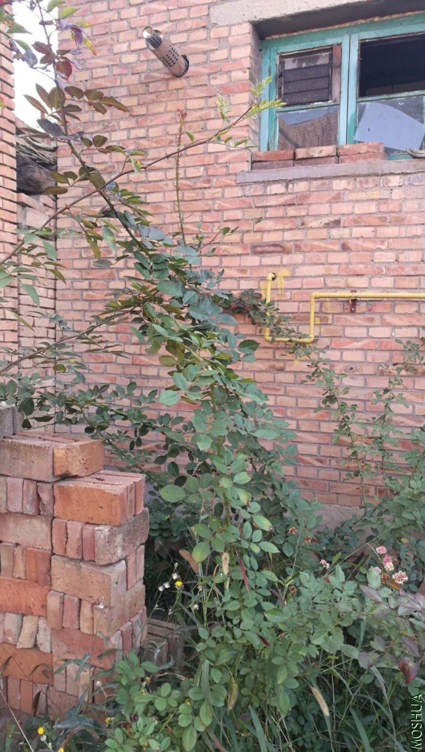 ΢��ͼƬ_20201020145818.jpg