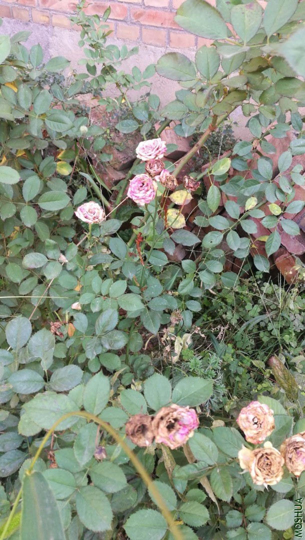 ΢��ͼƬ_20201020145835.jpg