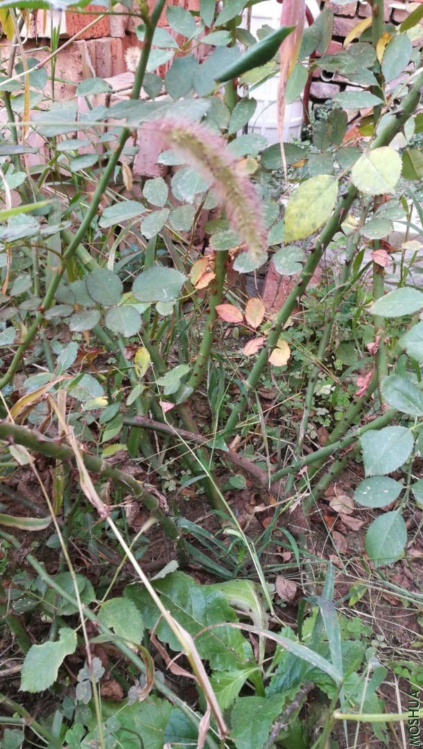 ΢��ͼƬ_20201020145901.jpg