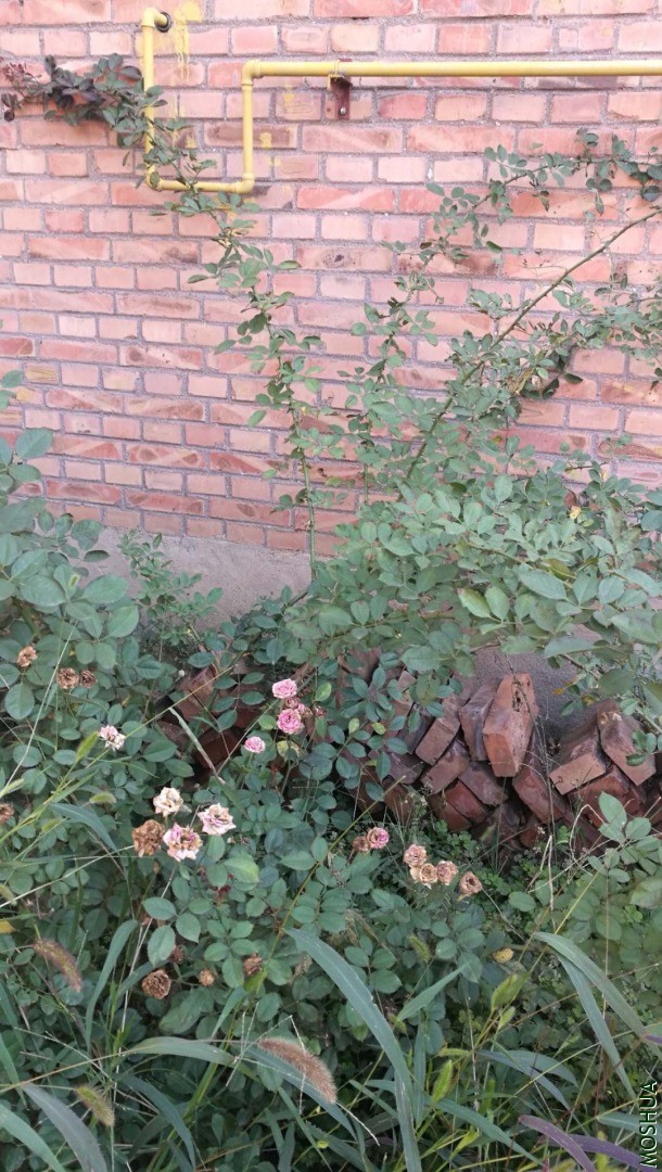΢��ͼƬ_20201020145917.jpg