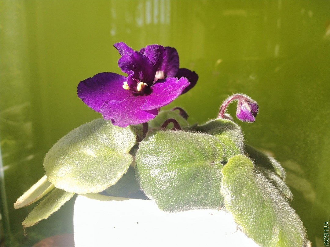 ��IMG_20201017_092656.jpg