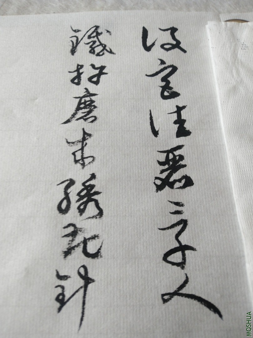 IMG_20201027_125755.jpg