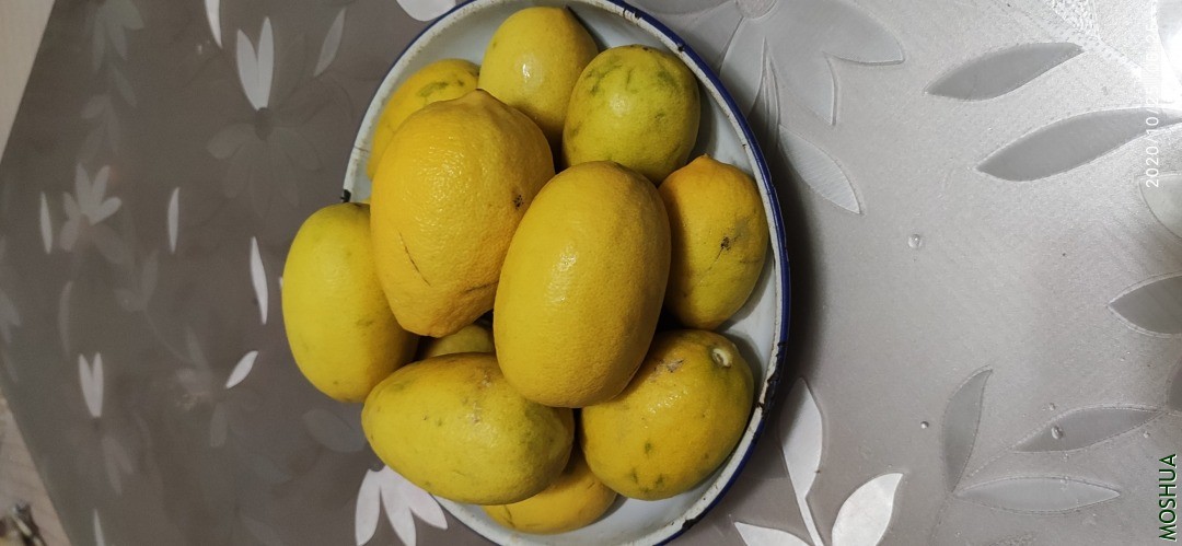 ΢��ͼƬ_20201028082319.jpg