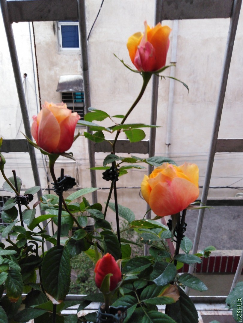 QQͼƬ20201030104521.jpg