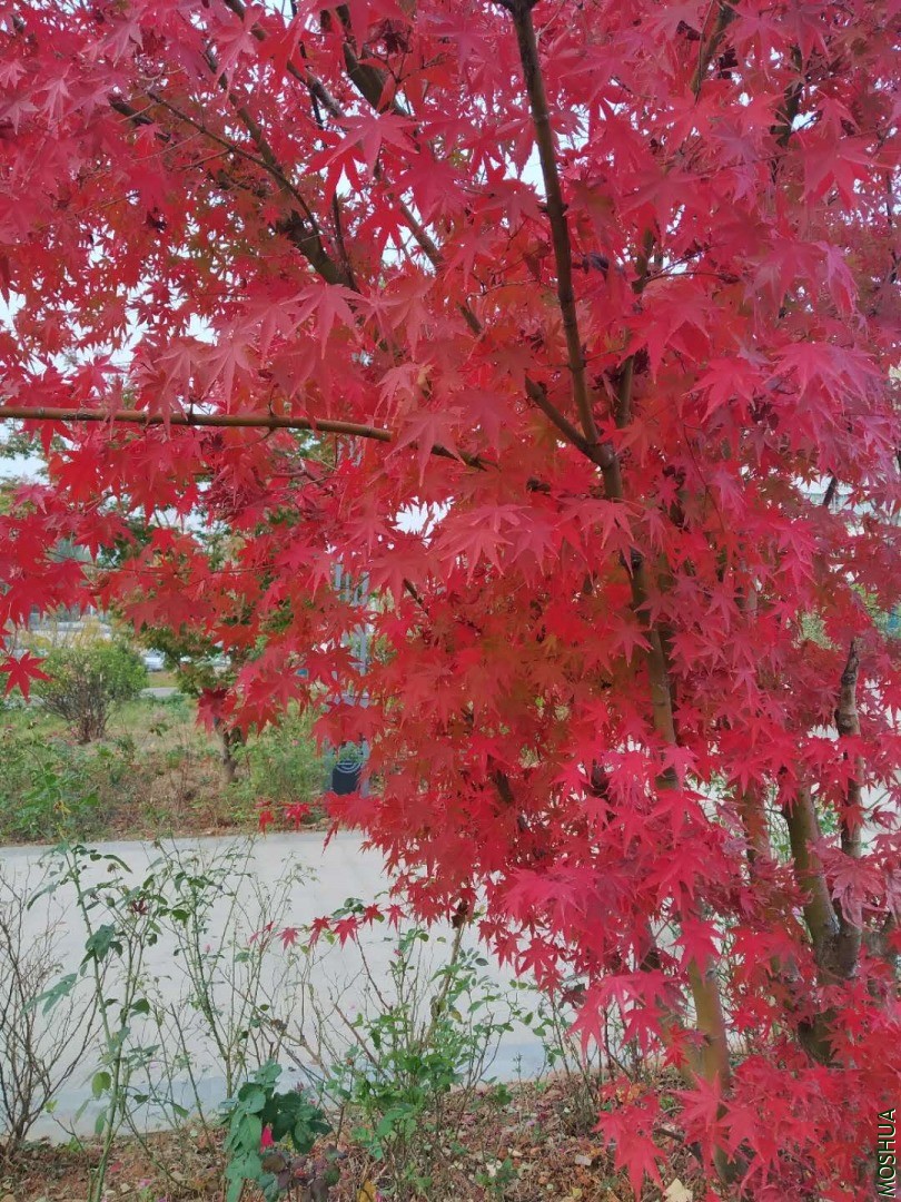 20201029063244.jpg