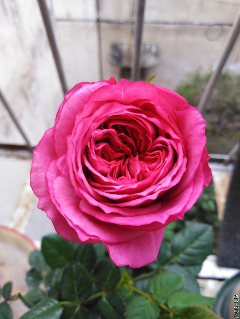 QQͼƬ20201103155339.jpg