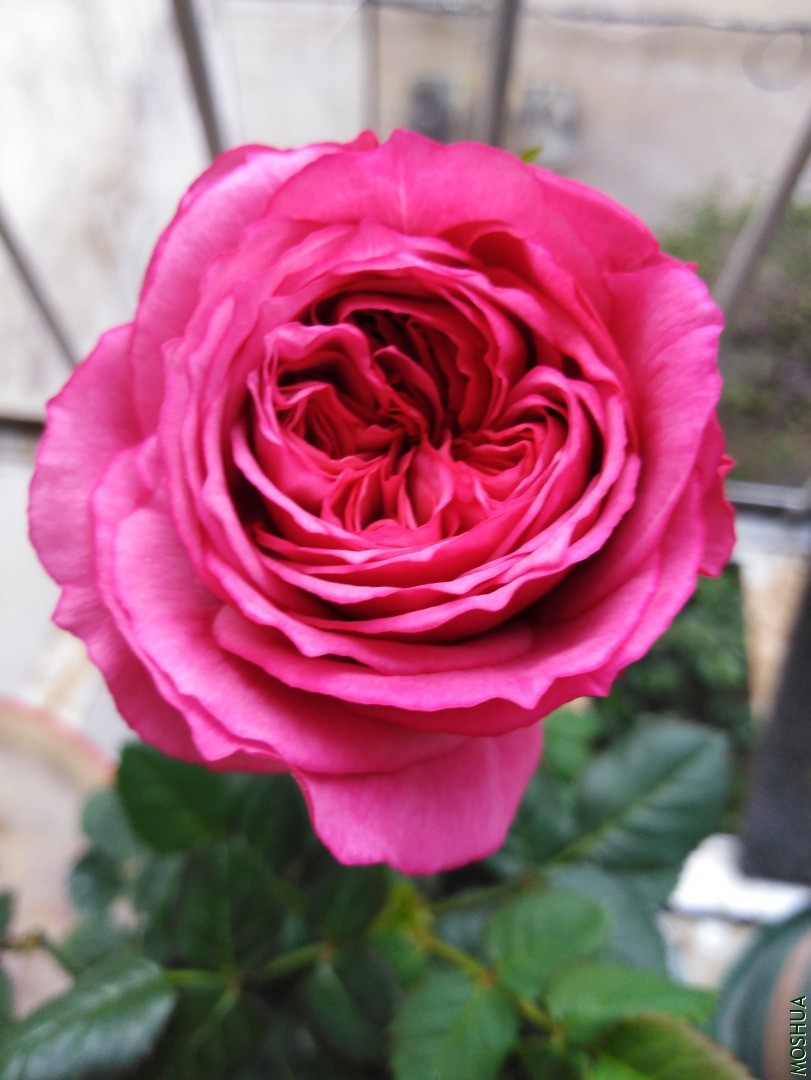 QQͼƬ20201103155333.jpg