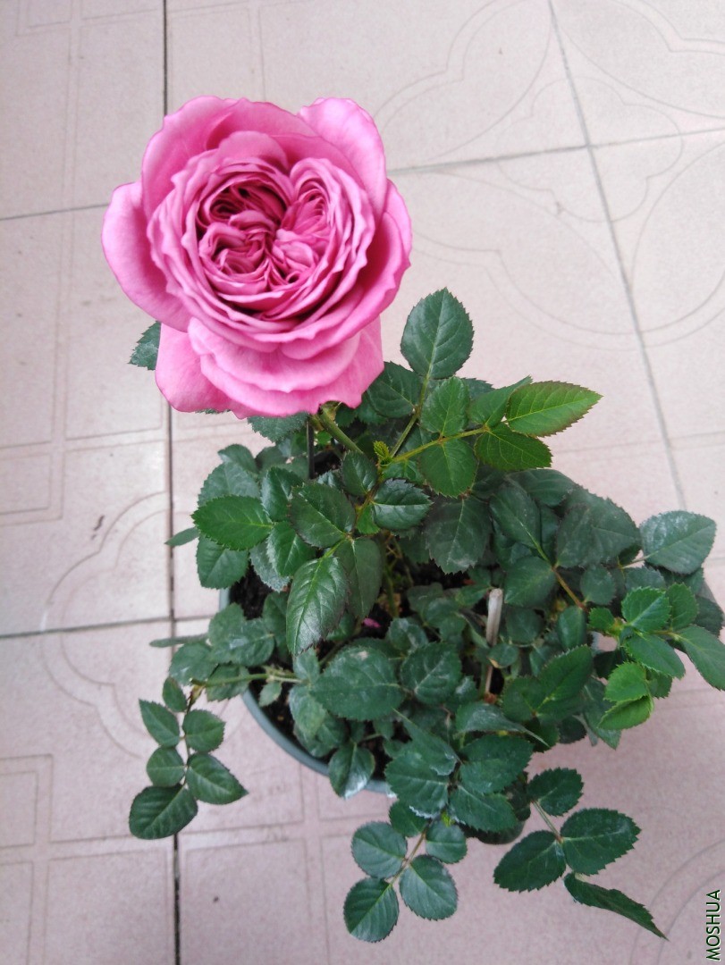 QQͼƬ20201103155329.jpg