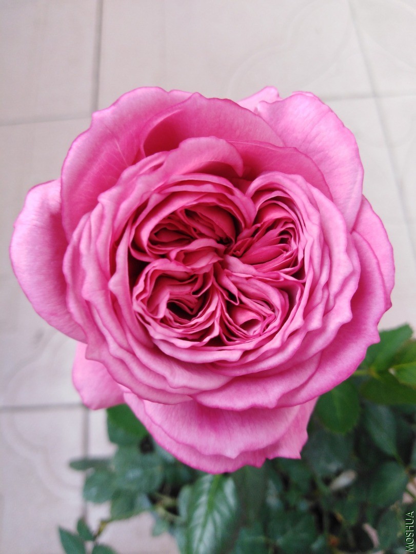 QQͼƬ20201103155324.jpg