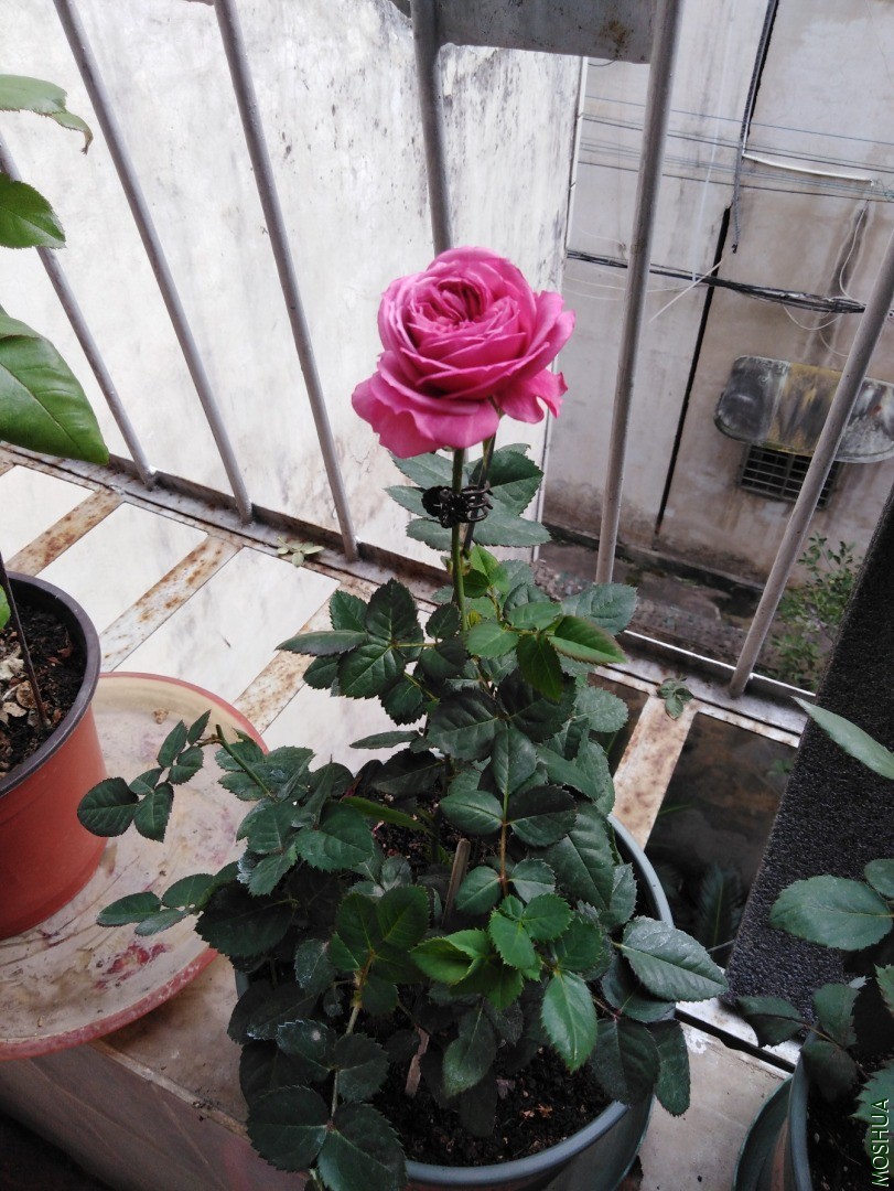 QQͼƬ20201103155315.jpg