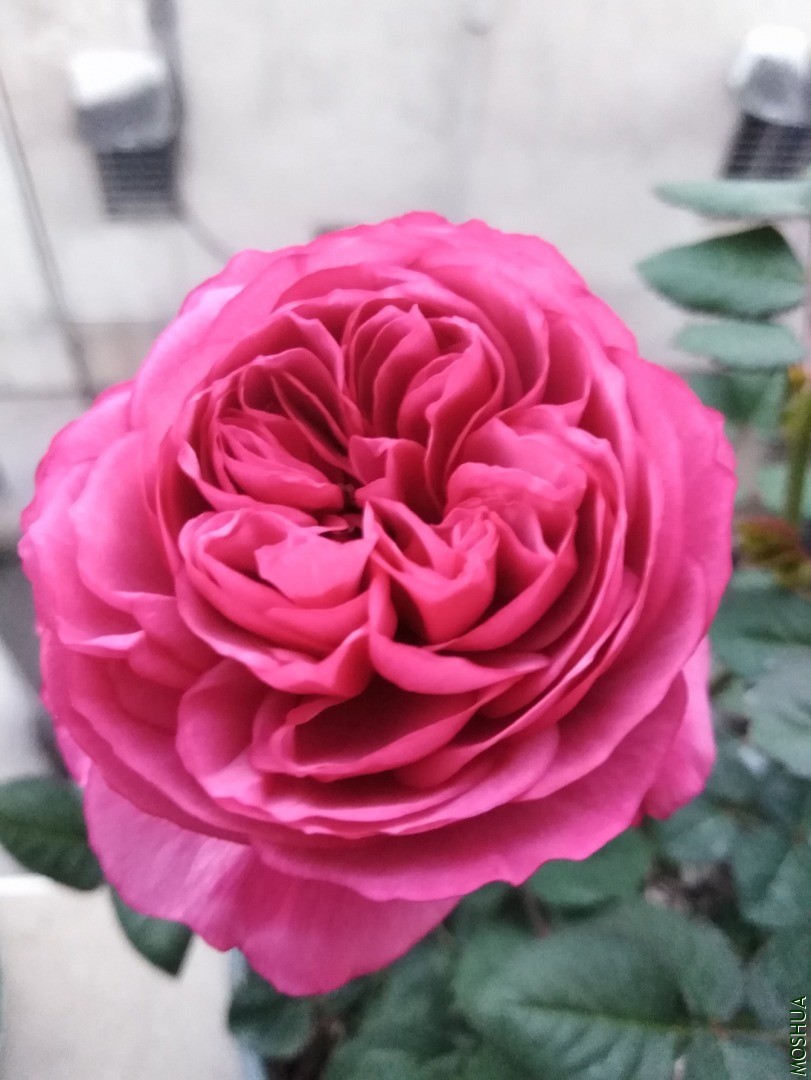 QQͼƬ20201103155417.jpg