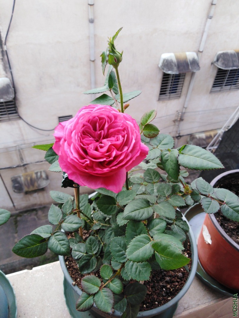 QQͼƬ20201103155412.jpg