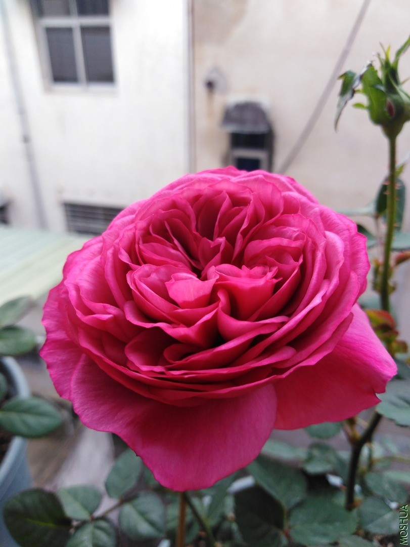 QQͼƬ20201103155407.jpg
