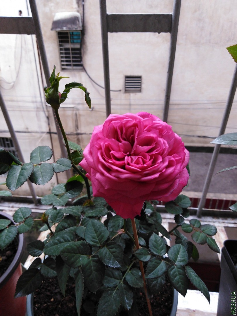 QQͼƬ20201103155359.jpg