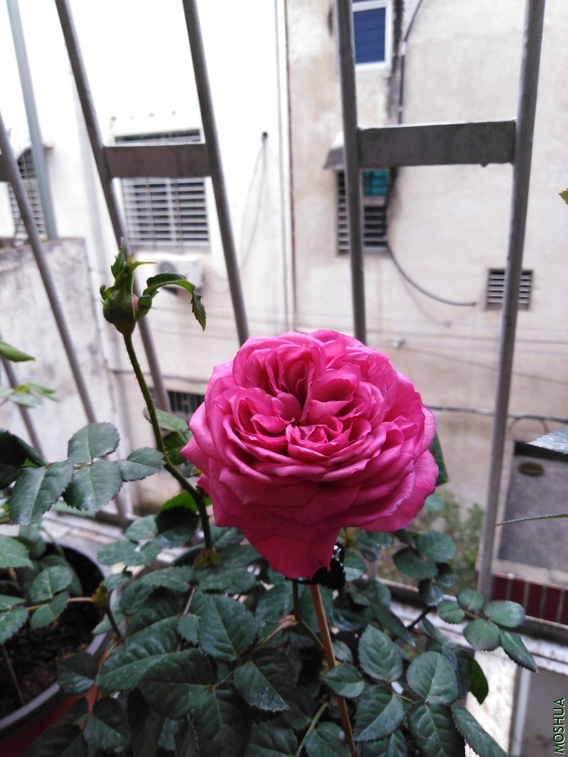 QQͼƬ20201103155345.jpg