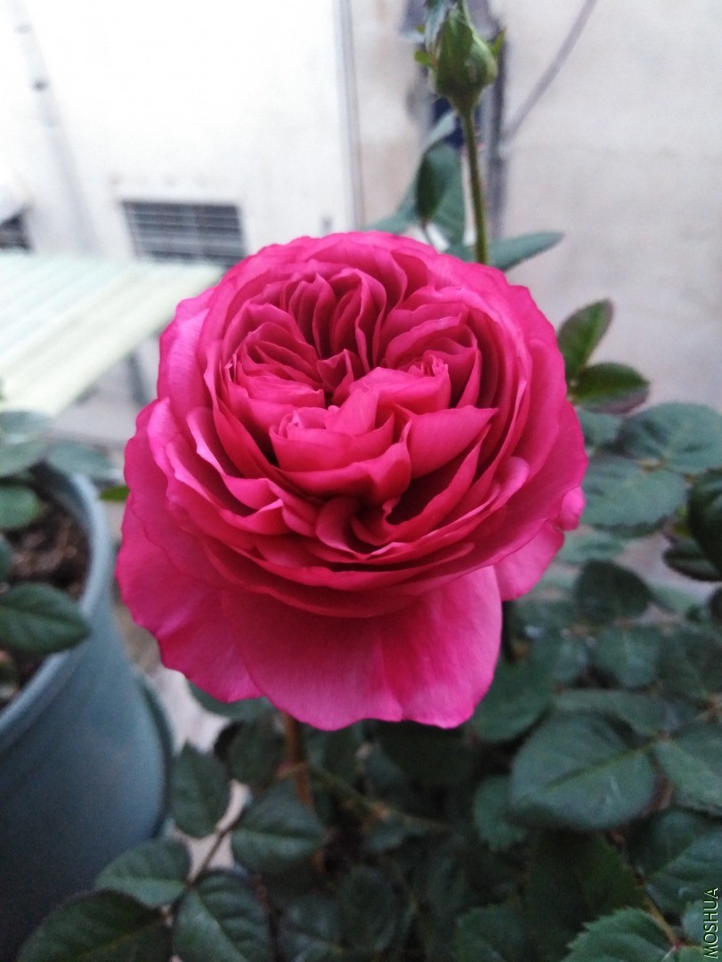 QQͼƬ20201103155425.jpg