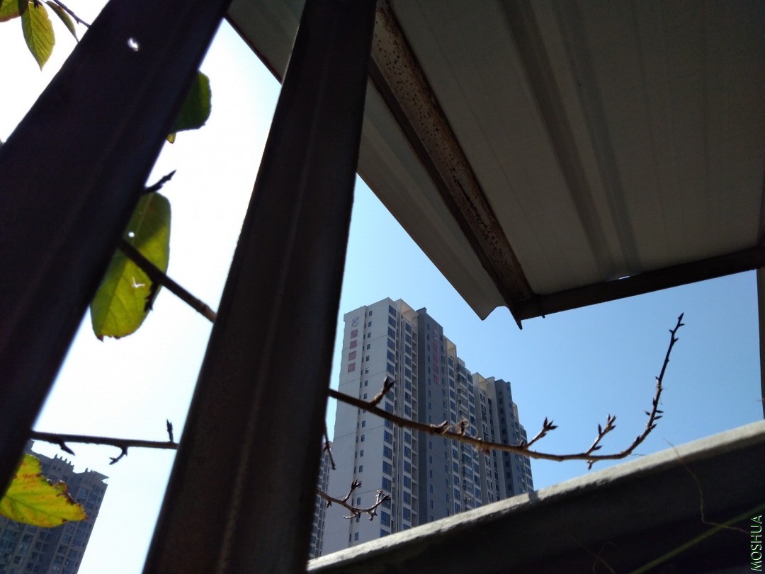 IMG_20201108_121703.jpg
