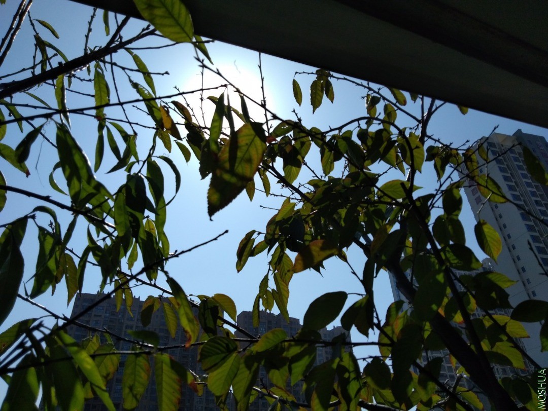 IMG_20201108_121656.jpg