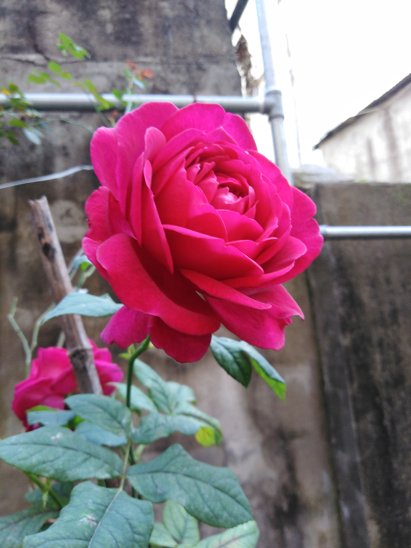 IMG_20201107_091640.jpg
