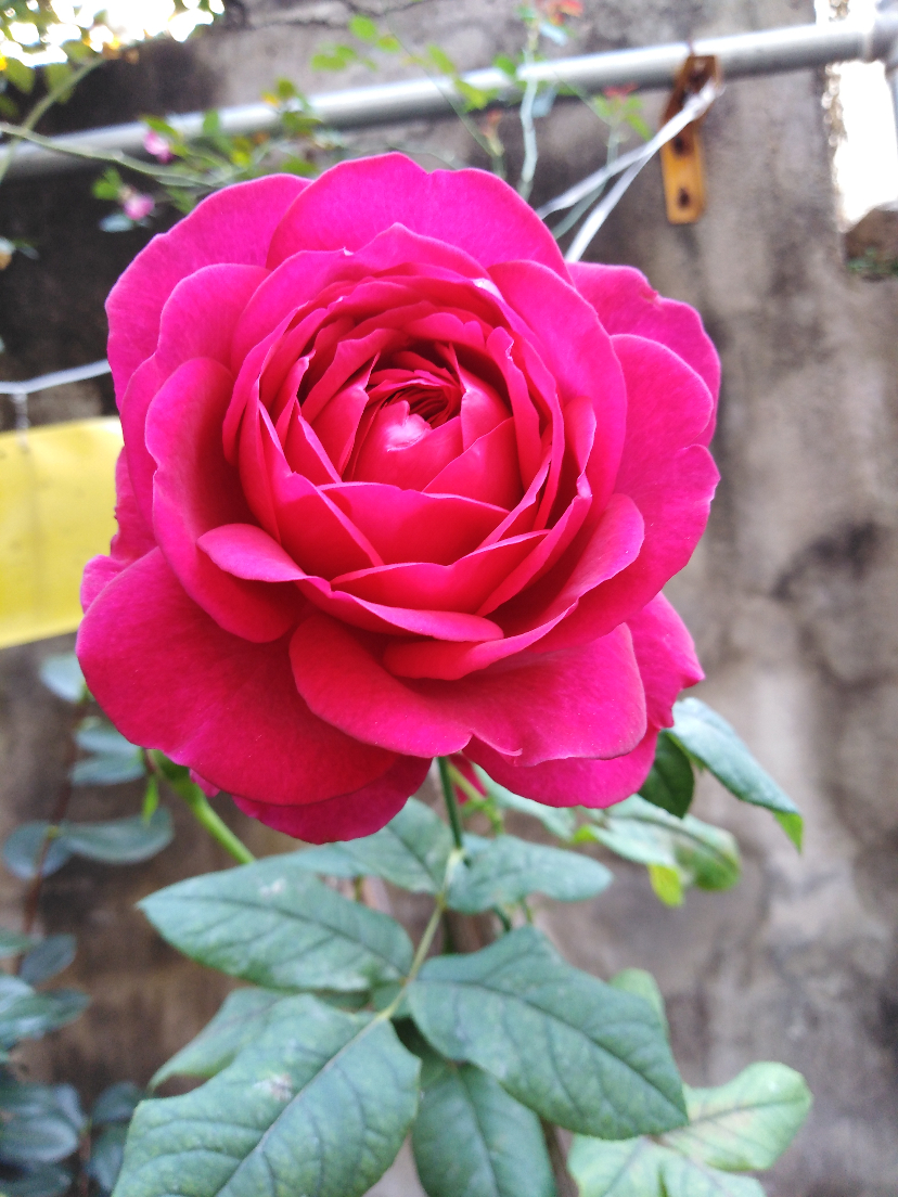 IMG_20201107_091549.jpg