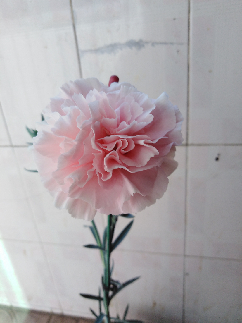 IMG_20201108_112910.jpg