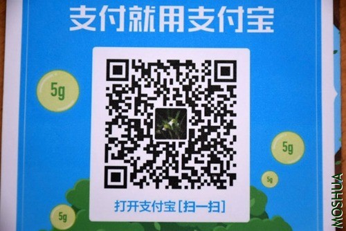 DSC_03680368.JPG