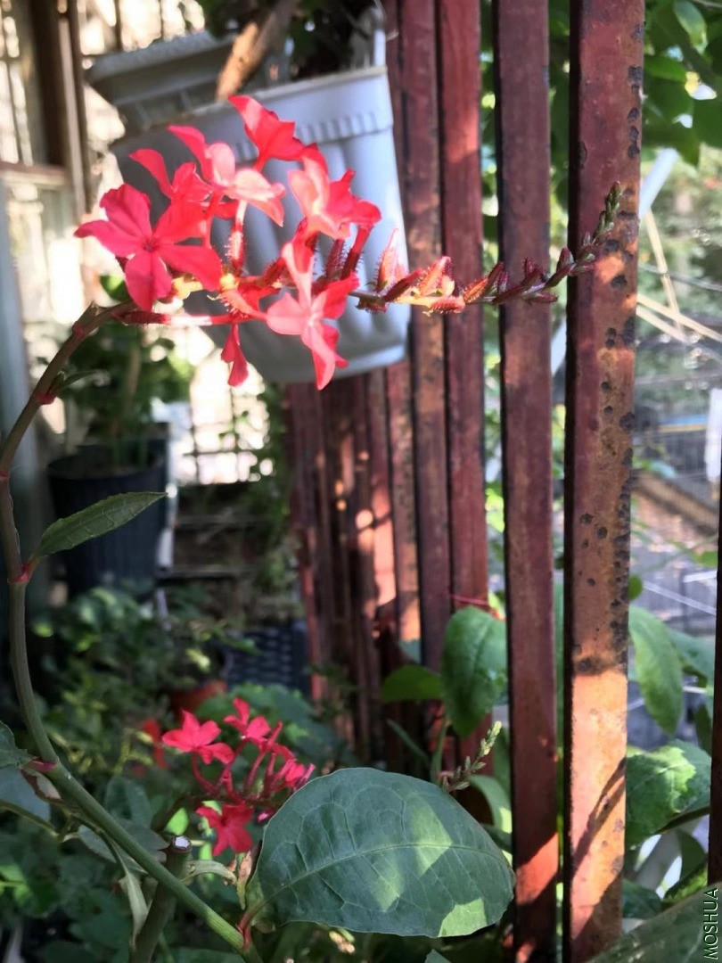 ΢��ͼƬ_202011142059356.jpg