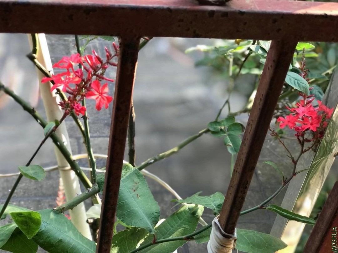 ΢��ͼƬ_202011142059358.jpg