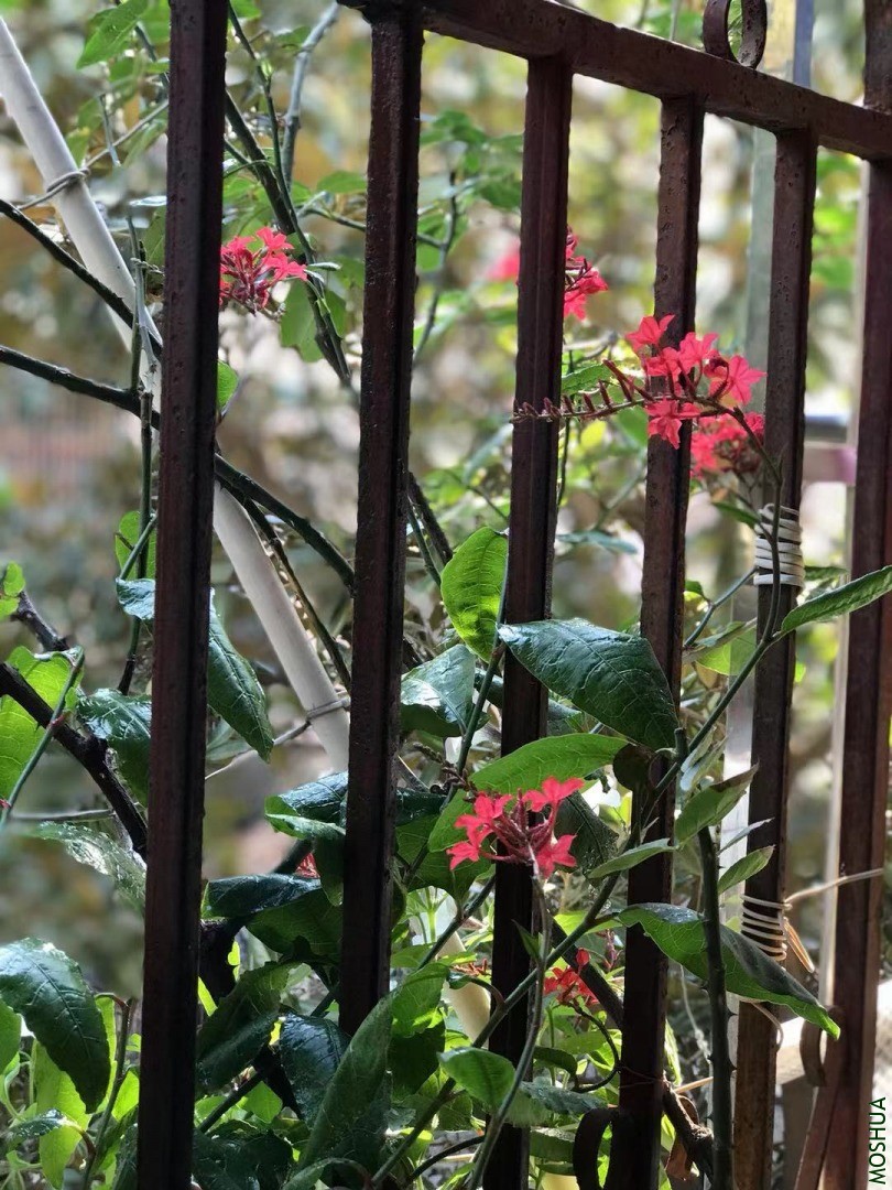 ΢��ͼƬ_20201114205935.jpg