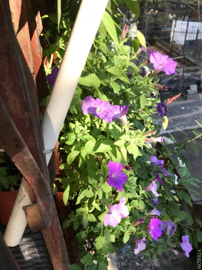 ΢��ͼƬ_202011142059354.jpg