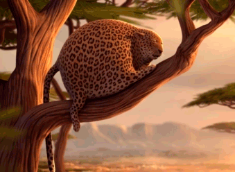 10dfa9ec8a13632732af2d96908fa0ec09fac7d1.gif