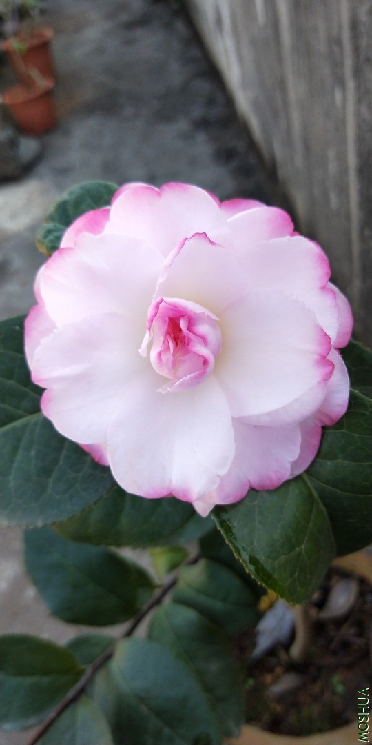 IMG20201115104150.jpg