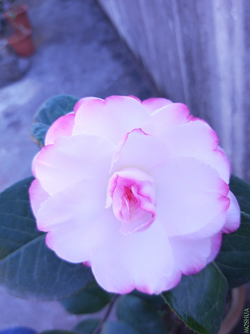 IMG20201115104212.jpg