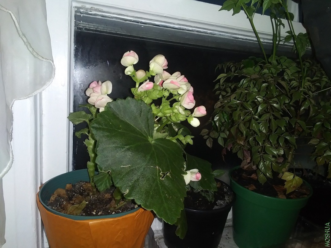 20201115_170744.jpg