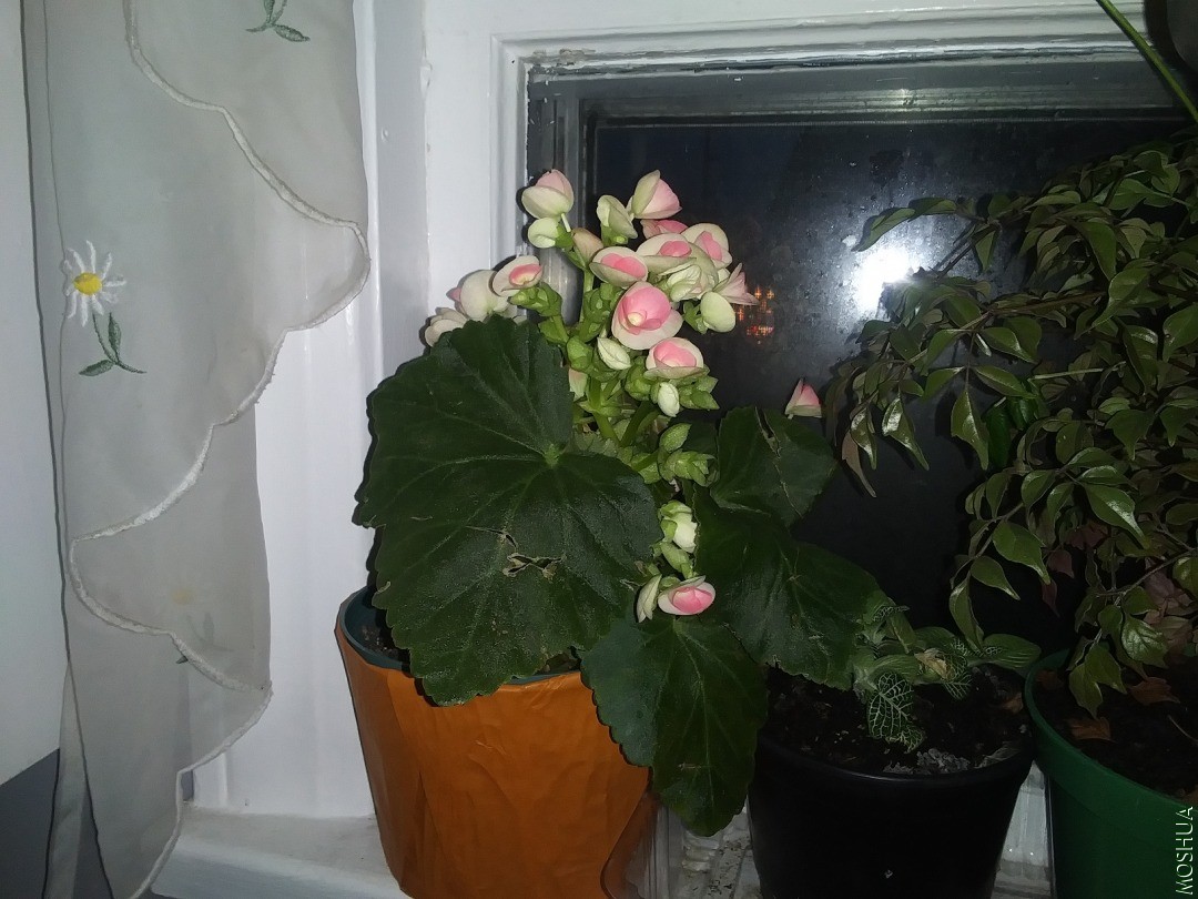 20201115_170735.jpg