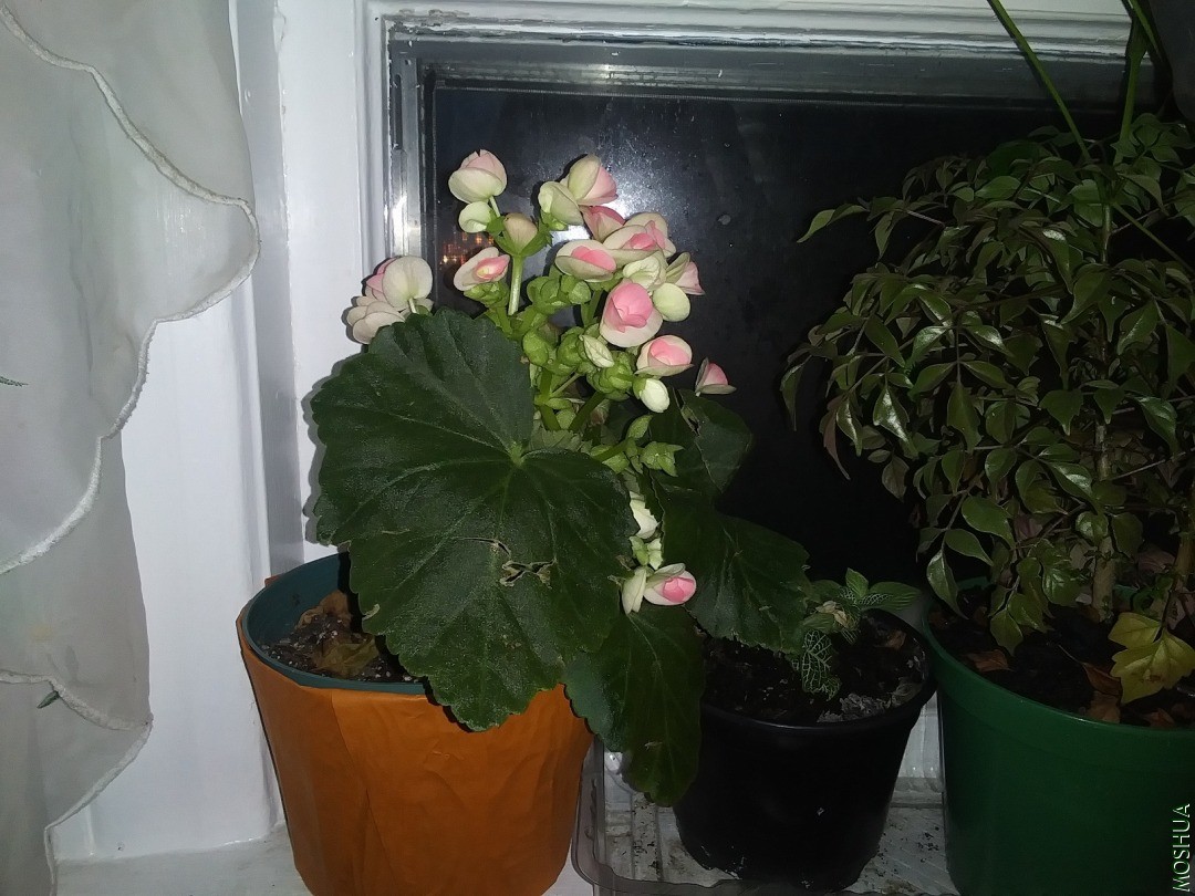 20201115_170727.jpg