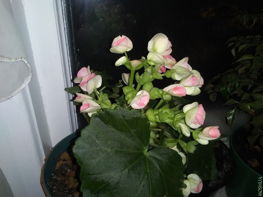 20201115_170644.jpg
