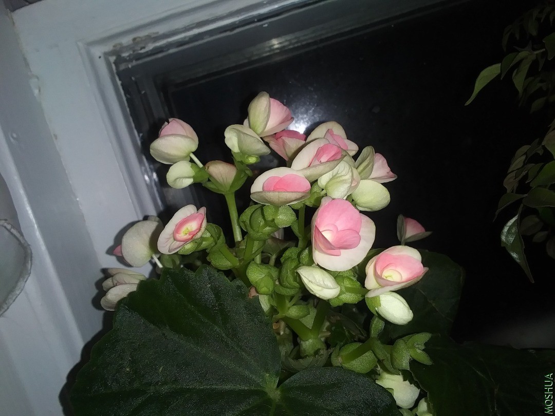 20201115_170636.jpg