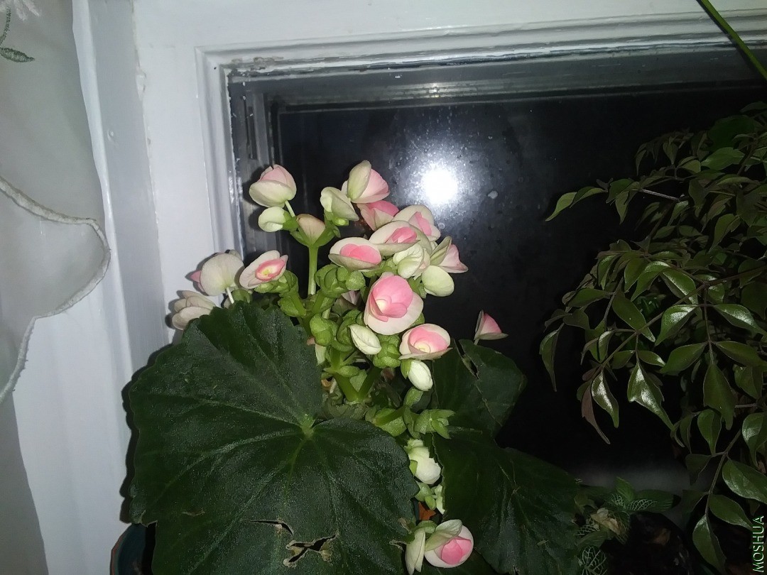 20201115_170629.jpg