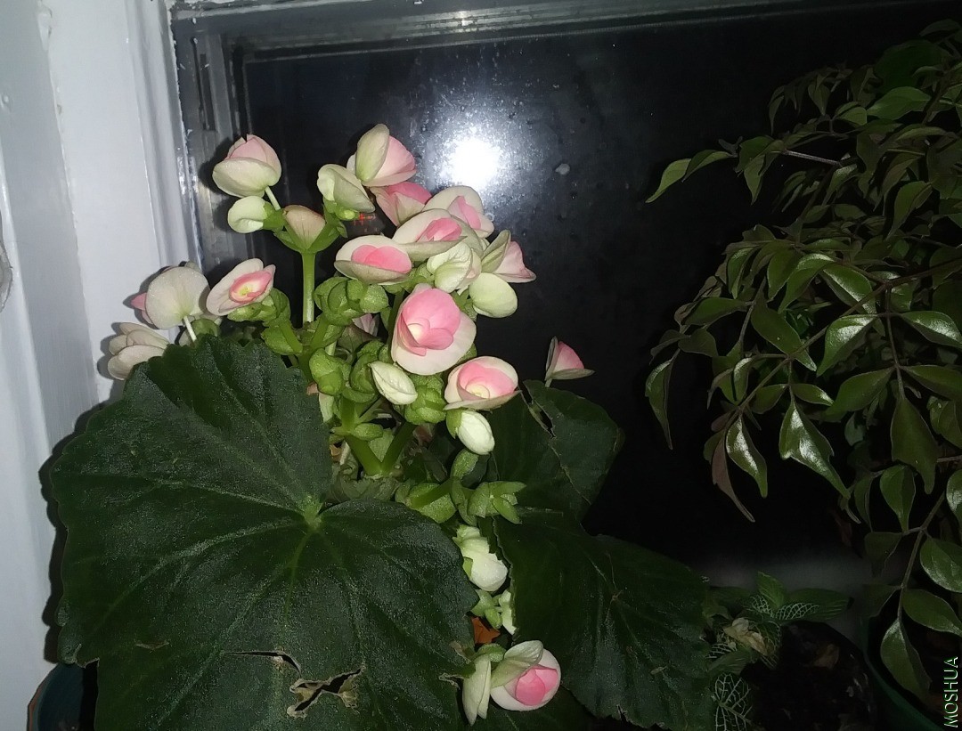 20201115_170625.jpg