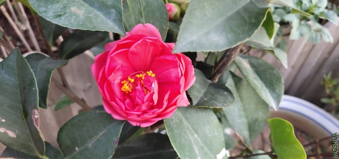 QQͼƬ20201116104130.jpg