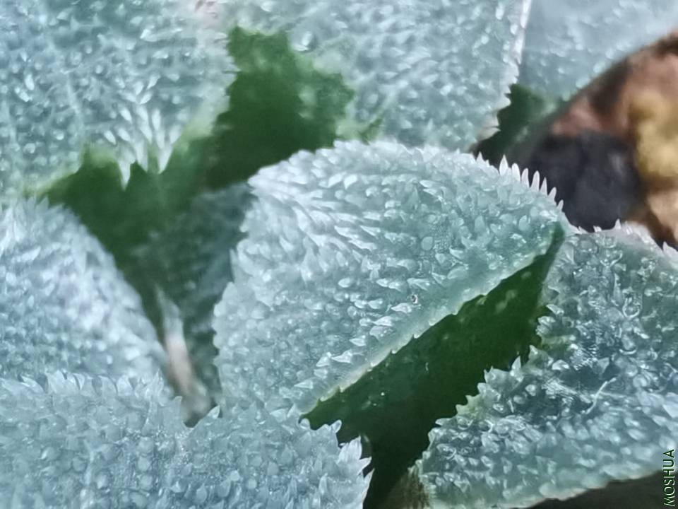 QQͼƬ20201117135731.jpg