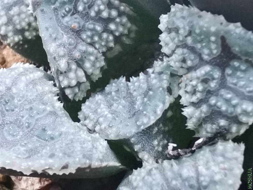 QQͼƬ20201117135751.jpg