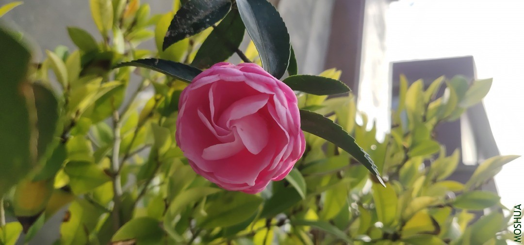 QQͼƬ20201116104218.jpg