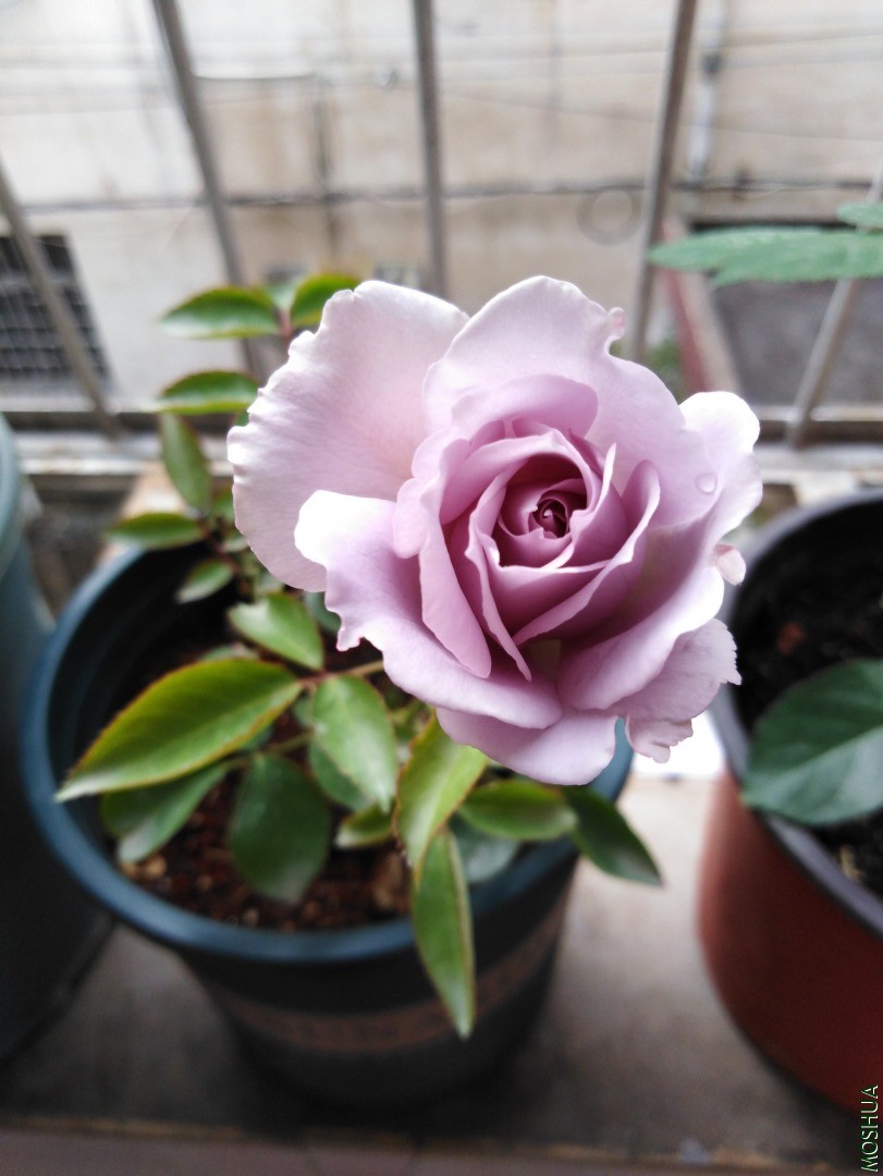 QQͼƬ20201120090330.jpg