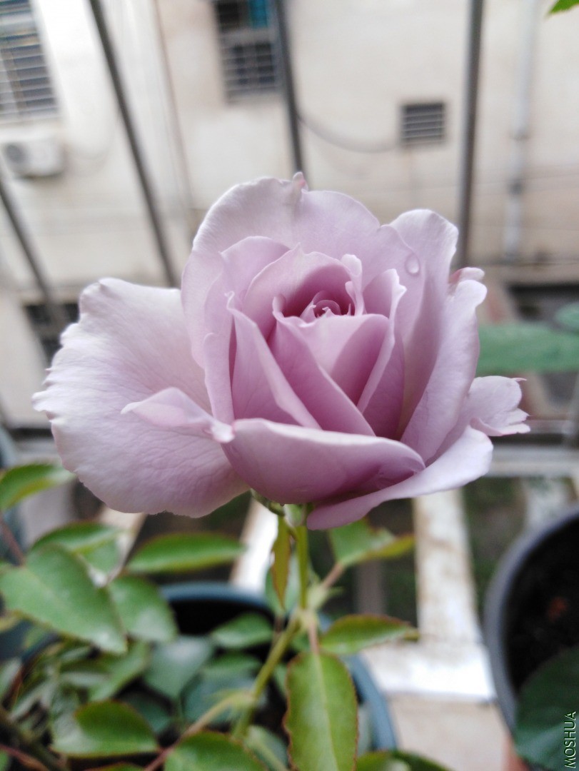 QQͼƬ20201120090335.jpg