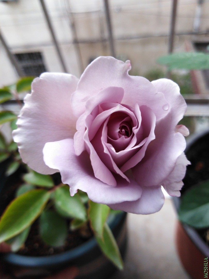 QQͼƬ20201120090326.jpg