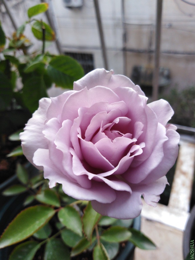 QQͼƬ20201120090319.jpg