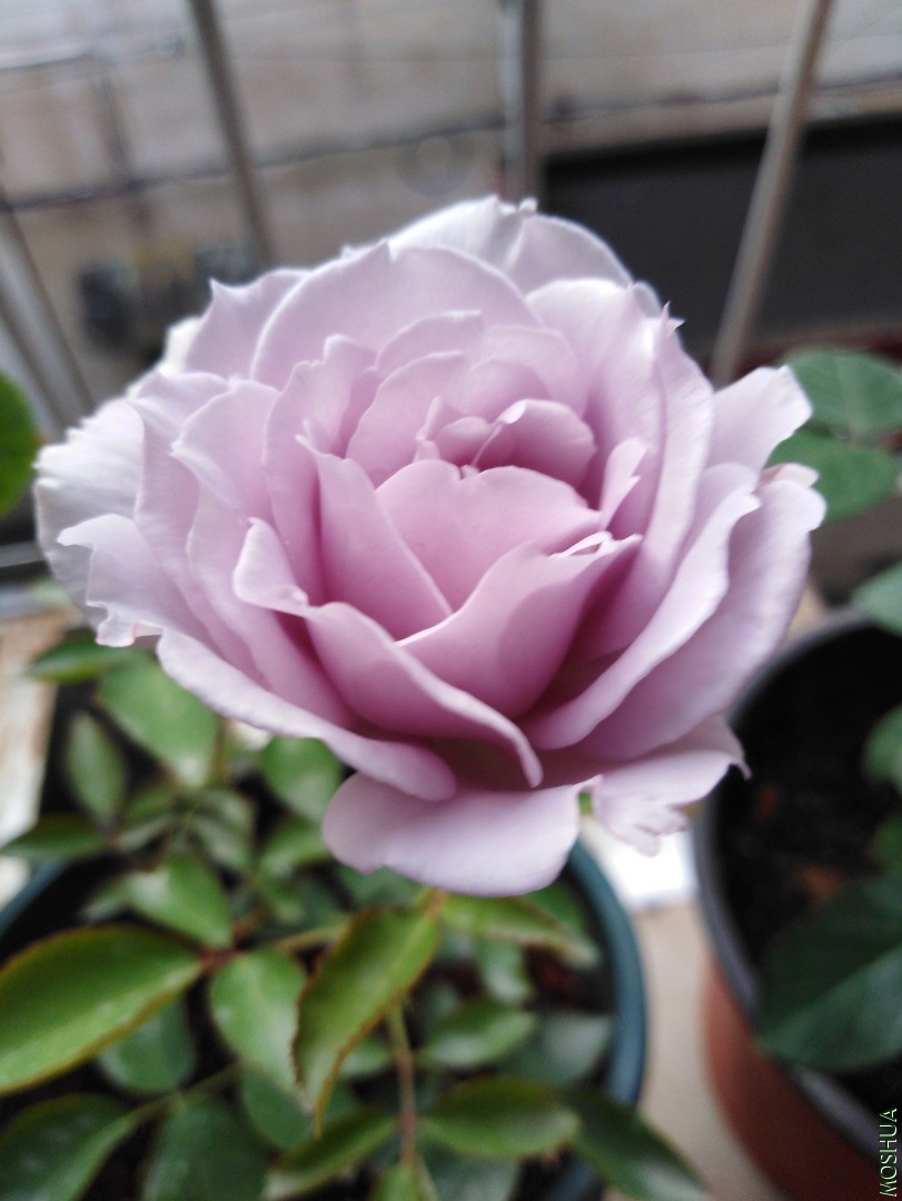 QQͼƬ20201120090312.jpg
