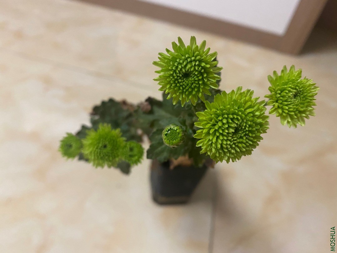 ΢��ͼƬ_20201120104320.jpg